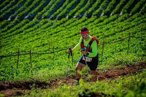 BIB: 224
                            <button type="button" onclick="openModal(19161291)" class="btn btn-primary btn-sm float-right btn-popup" data-toggle="modal" data-target=".modal-high-quality">
                        <i class="fas fa-shopping-cart"></i> Add to Cart
                    </button>
                                            <button type="button" onclick="isThisMe(19161291, true)" class="btn btn-success btn-sm float-right btn-popup btn-isme hidden" data-toggle="tooltip" data-placement="bottom" title="นี่คือรูปของคุณใช่ไหม คลิกที่นี่เพื่อเอาเข้าอัลบั้ม">
                        <i class="fas fa-plus"></i> Add to album
                    </button>
                    <button type="button" onclick="isThisMe(19161291, false)" class="btn btn-warning btn-sm float-right btn-popup btn-isnotme hidden">
                        <i class="fas fa-ban"></i> Remove from album
                    </button>